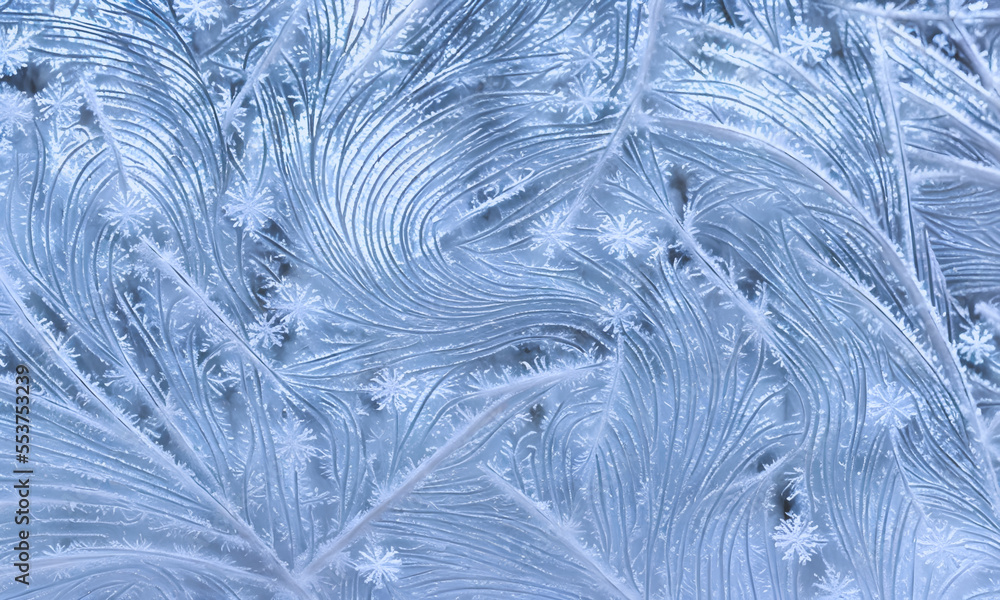 Fototapeta premium Frost patterns on window pane - digital illustration.