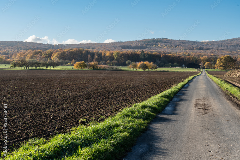 Felder in der Wetterau, Hessen