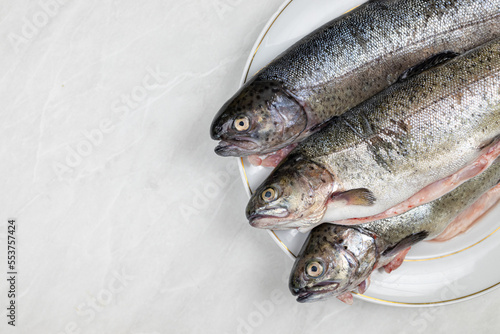Fresh trout on the plate ready for preparing