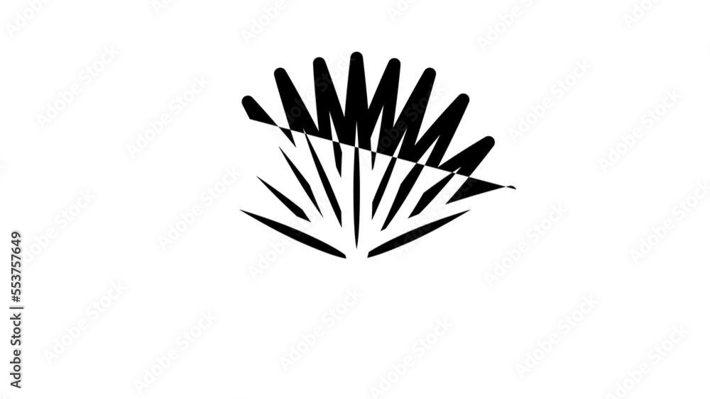 chamaerops tropical leaf line icon animation chamaerops tropical leaf line icon animation