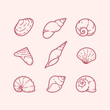Seashell illustration. Stylized vector element for prints, clothing, pattern, packaging and postcards.