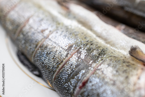 Fresh trout on the plate ready for preparing