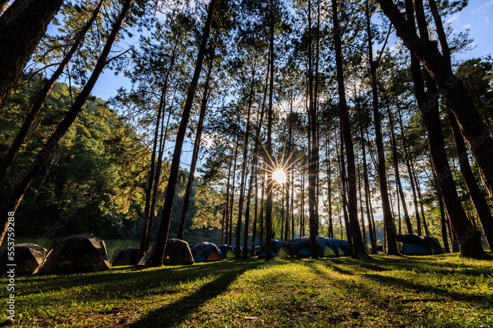 fair light from the sun and shadow of the pine trees in afternoon at the camping area, Pang-Ung  Mae Hong Son, North of Thailand, in the winter season,