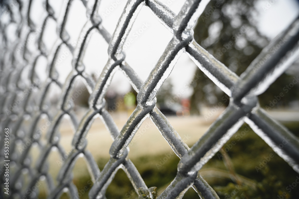 Fototapeta premium chain link fence with wire