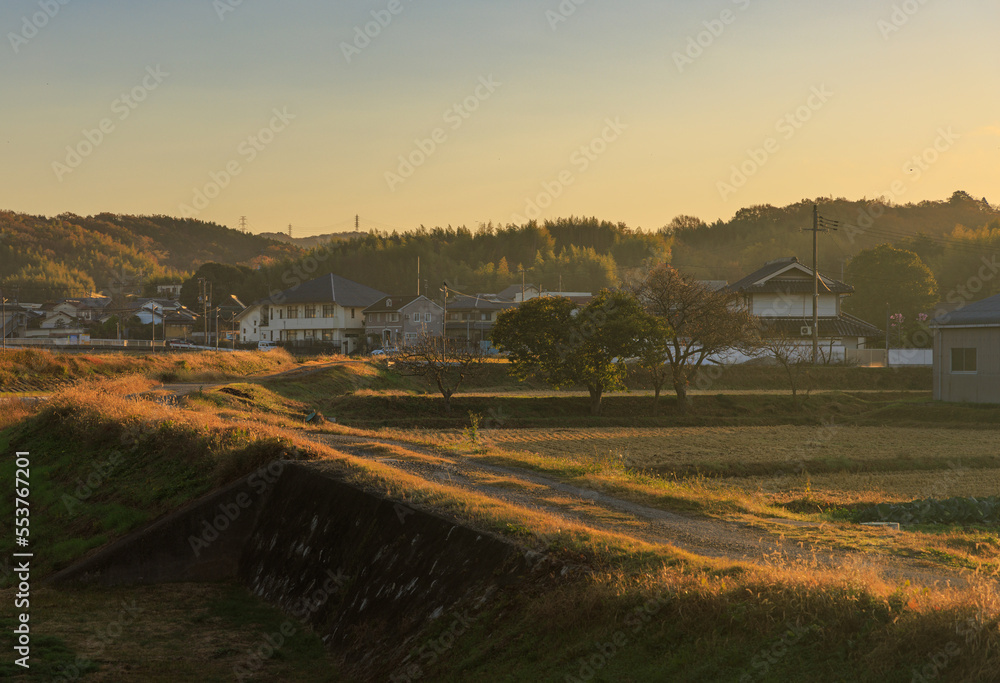 Fototapeta premium Early morning light hits dirt road through small Japanese town
