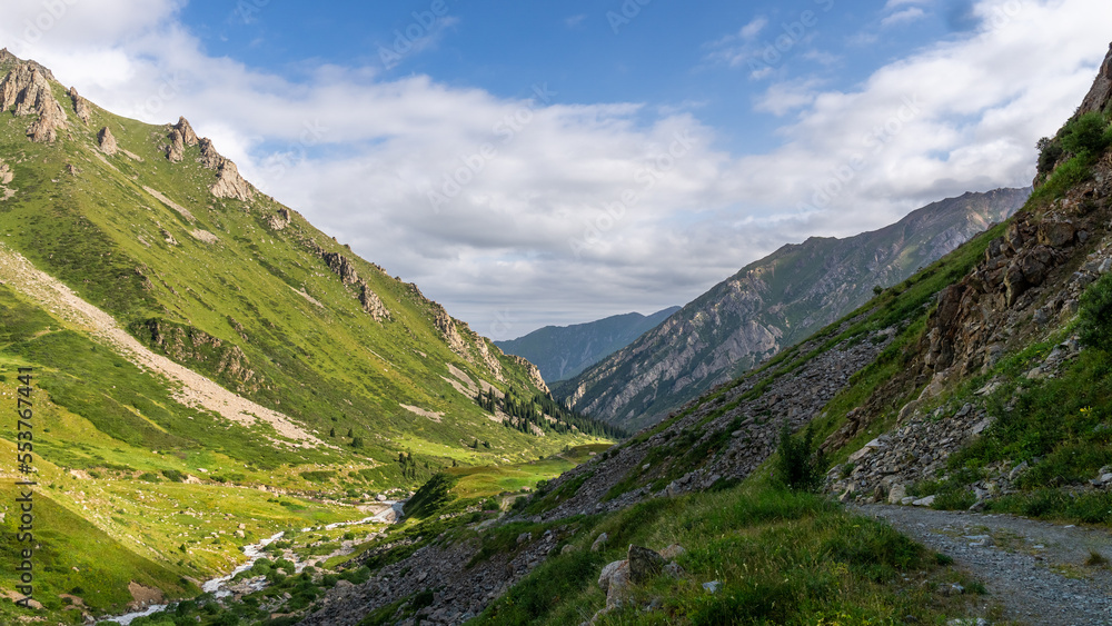 Fototapeta premium a river overgrown with forest in a mountain gorge