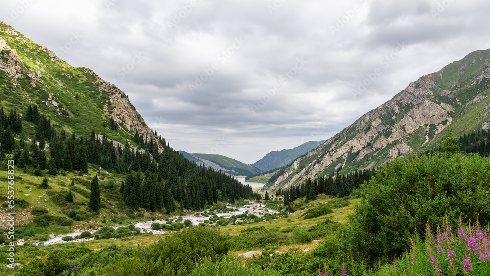 a river overgrown with forest in a mountain gorge a river overgrown with forest in a mountain gorge