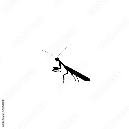 Mantis icon. Simple style insect science poster background symbol. Mantis brand logo design element. Mantis t-shirt printing. vector for sticker.