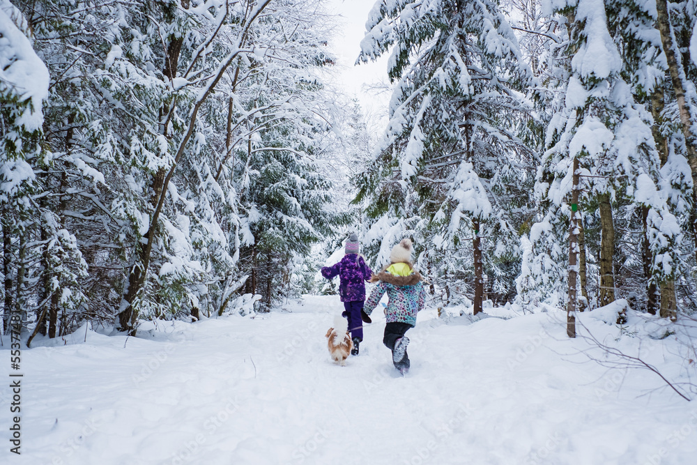 Kids running in snowy forest with a dog. Winter scene in Northern Europe with beautiful snow covered spruce trees. 