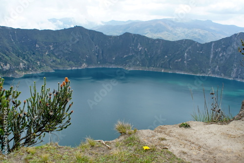 Flower of the Andes above Quilotoa Lake near Latacunga, Ecuador © Angela