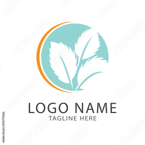 Green leaf logo ecology nature element vector icon