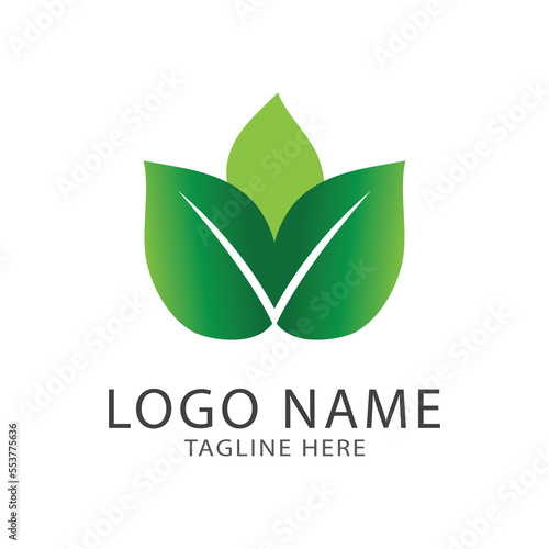 Green leaf logo ecology nature element vector icon