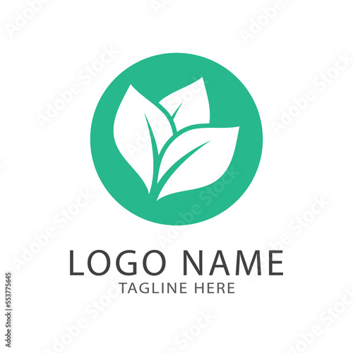 Green leaf logo ecology nature element vector icon