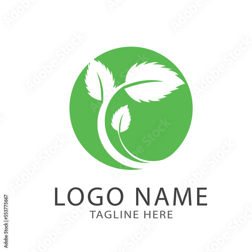 Green leaf logo ecology nature element vector icon