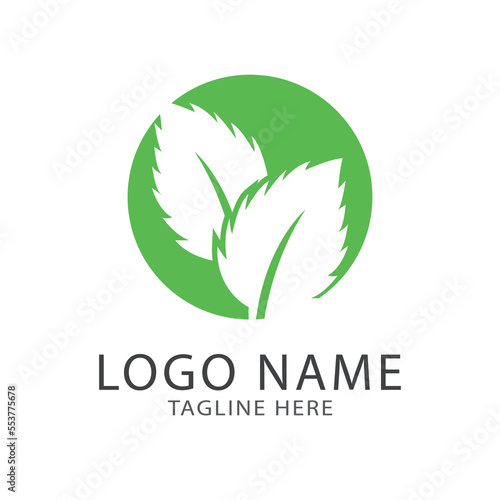 Green leaf logo ecology nature element vector icon