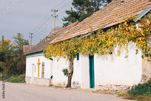 Wine Cellar in the Austrian Weinviertel Region photo