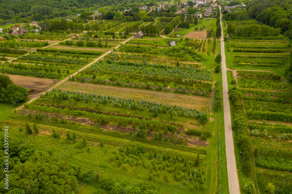 Drone photography or rural gardens