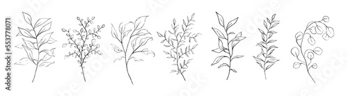 Set of black fine art floral branch  leaf  plants. Botanic delicate foliage outline pencil sketch leaves isolated on white background. Hand drawn line art black simple vector illustration