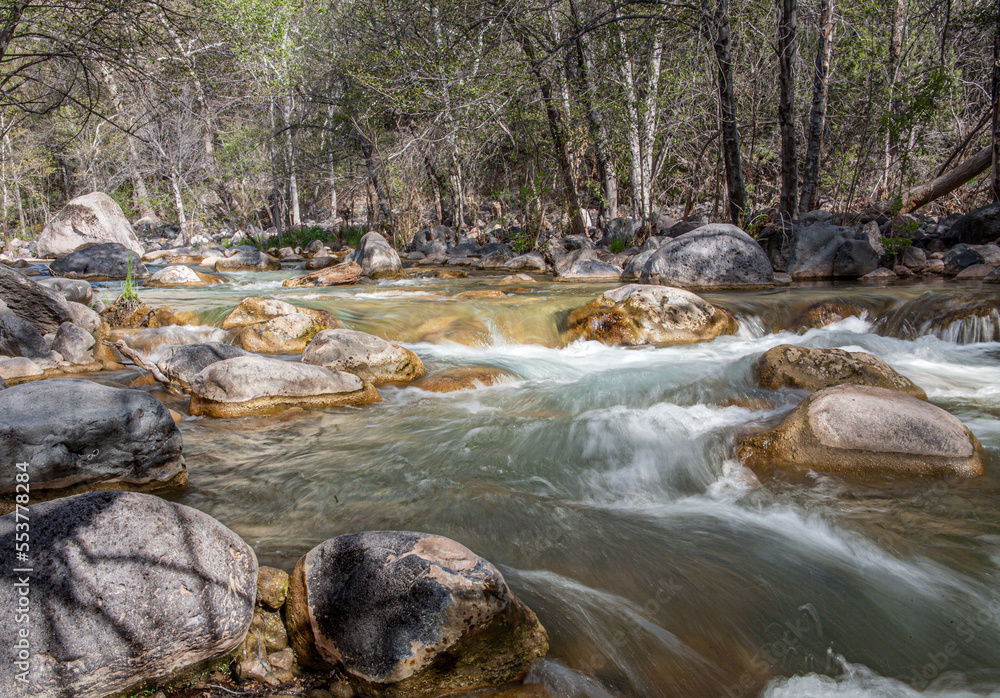 Water flows around rocks down a stream through the woods