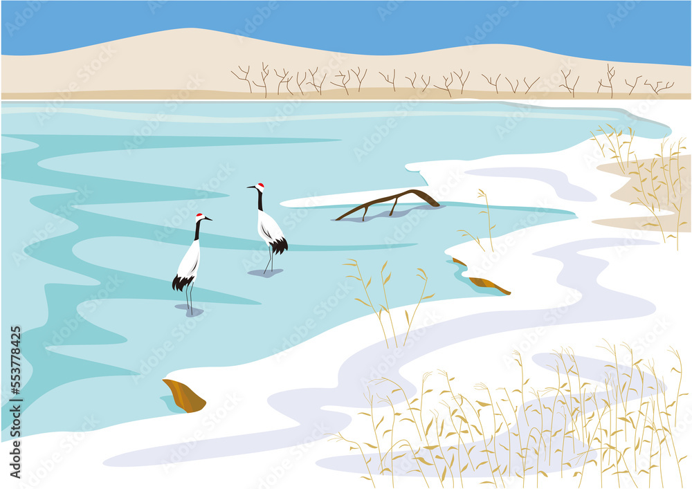 Fototapeta premium 冬の湿原とつがいのタンチョウのイラスト02