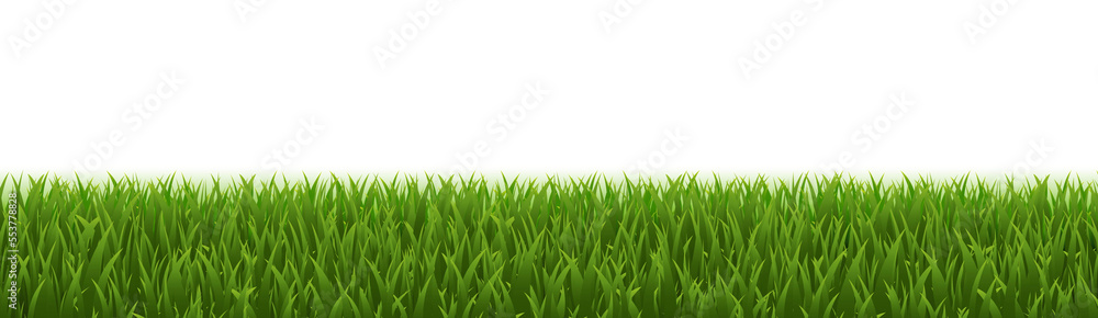 Obraz premium Green Grass Panorama Realistic Isolated White Background
