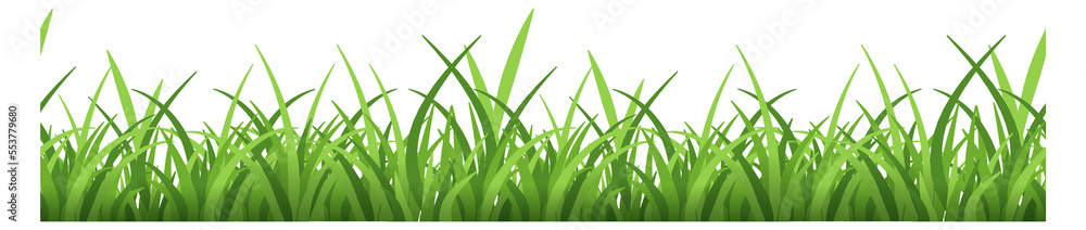 Green grass border. Fresh herbal lawn plants Green grass border. Fresh herbal lawn plants