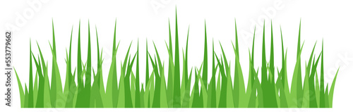 Spring grass. Green fresh eco decoration border