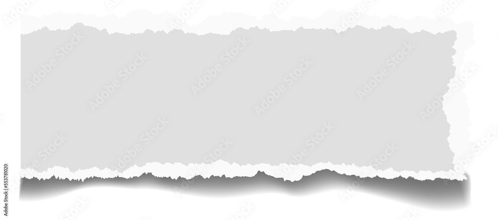 Ripped paper stripe. Realistic torn edge texture Ripped paper stripe. Realistic torn edge texture