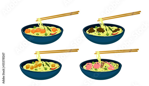 Set of Asian food wok noodles with salmon fish, chicken, beef, shrimps in a bowl front view