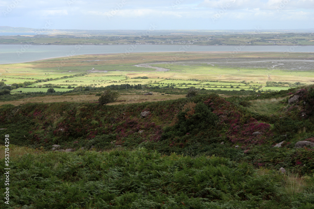 Fototapeta premium Dingle way - Kerry Camino - Tralee - County Kerry - Ireland