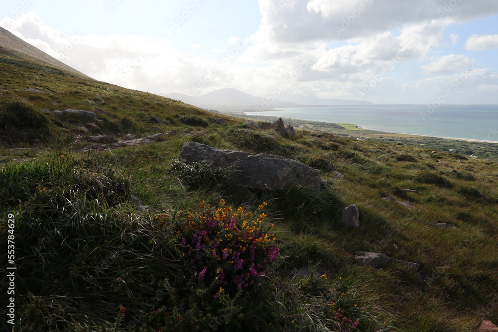 Dingle way - Kerry Camino - Tralee - County Kerry - Ireland