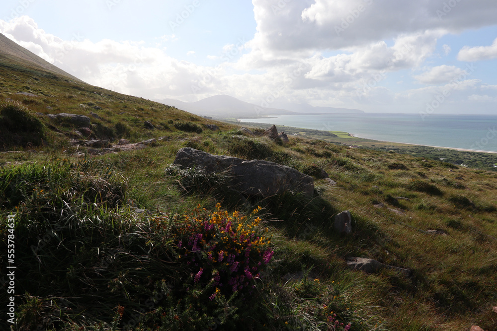 Dingle way - Kerry Camino - Tralee - County Kerry - Ireland