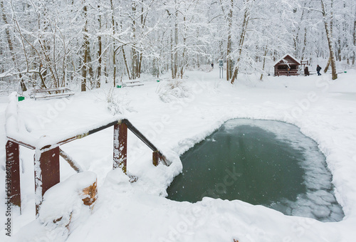 Winter forest after heavy snow