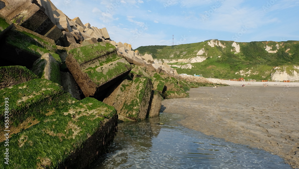 Normandie Küste mit Poltersteinen und Moos