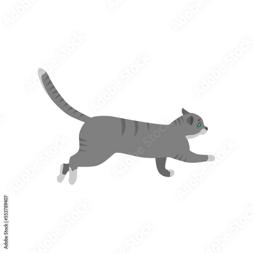 Cute cat cartoon character walking vector illustration. Pet on walk or in chase isolated on white background. Animals concept for game design