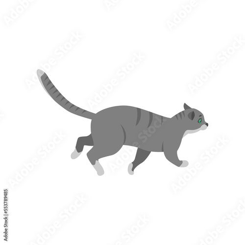 Cute gray cat cartoon character walking vector illustration. Pet on walk or in chase isolated on white background. Animals concept for game design