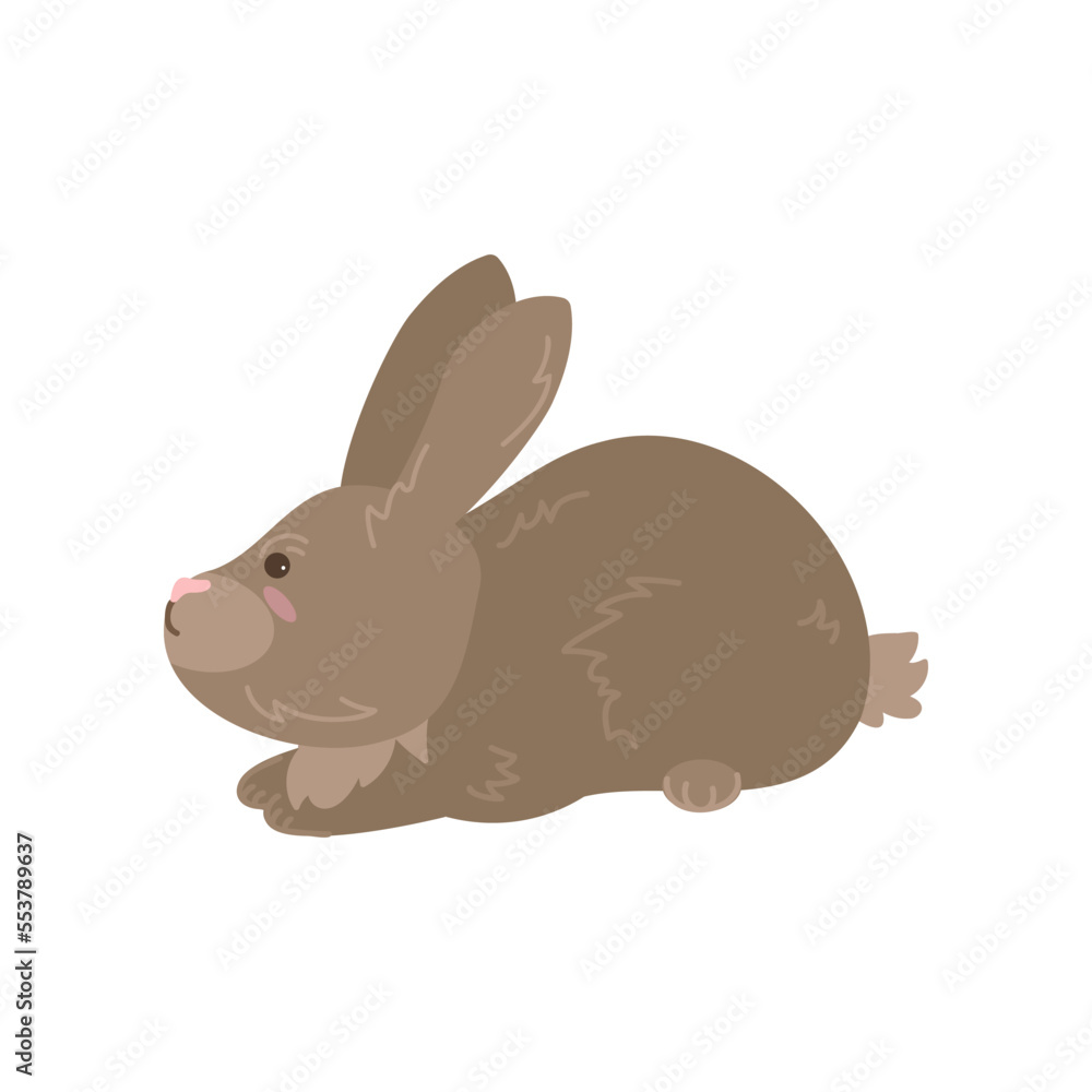 Cute brown rabbit sitting on white background. Cute bunny cartoon illustration. Farm animal concept Cute brown rabbit sitting on white background. Cute bunny cartoon illustration. Farm animal concept
