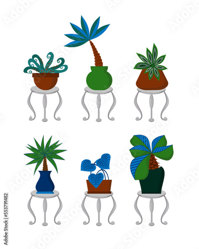A set of images of exotic plants standing on stands. A set of images on a white background