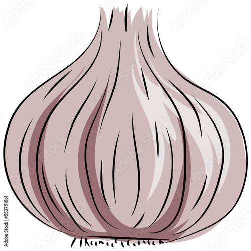 Garlic