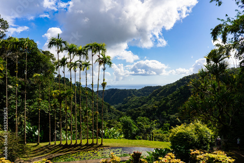 Green moutains landscape with palm trees, jungle forest and ocean in background, Martinique