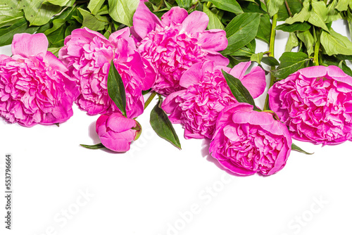 Fragrant pink peonies bouquet isolated on white background. Summer card, seasonal design, festive concept