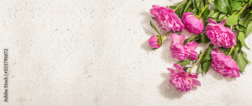 Fragrant pink peonies bouquet. Summer plaster background, seasonal design, festive card concept