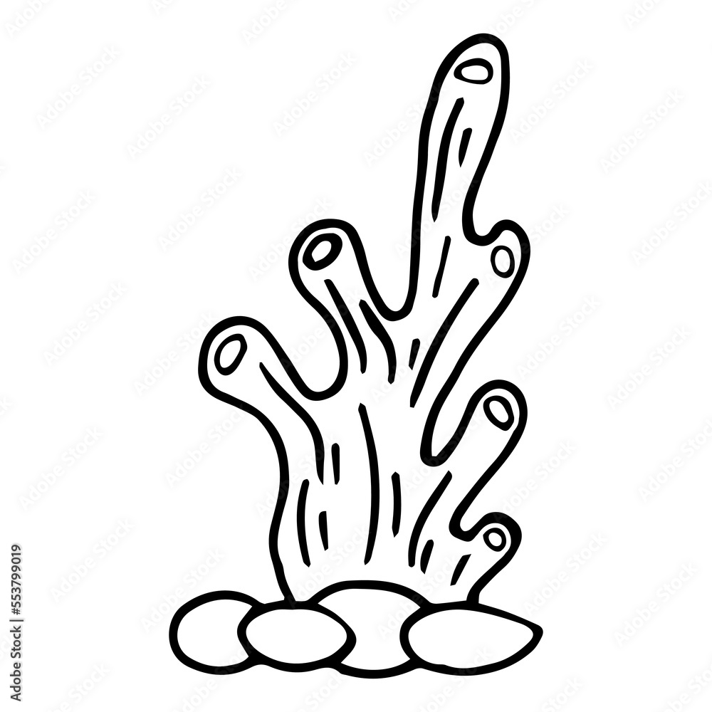 hand drawn cartoon seaweed isolated on white background hand drawn cartoon seaweed isolated on white background