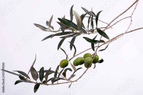 Particolare del ramo d'ulivo con olive verdi su sfondo bianco photo