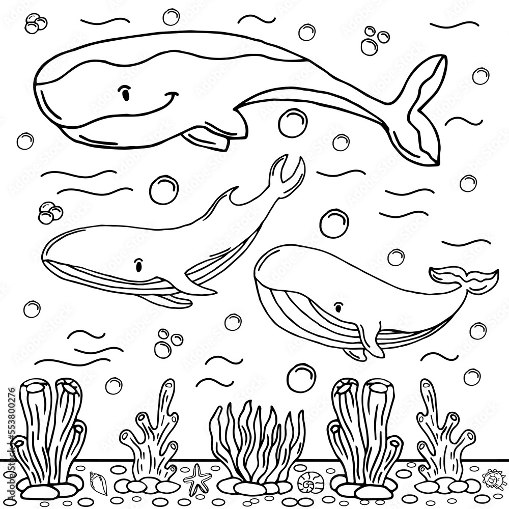 Whale Coloring Page Colored Illustration Stock Vector | Adobe Stock
