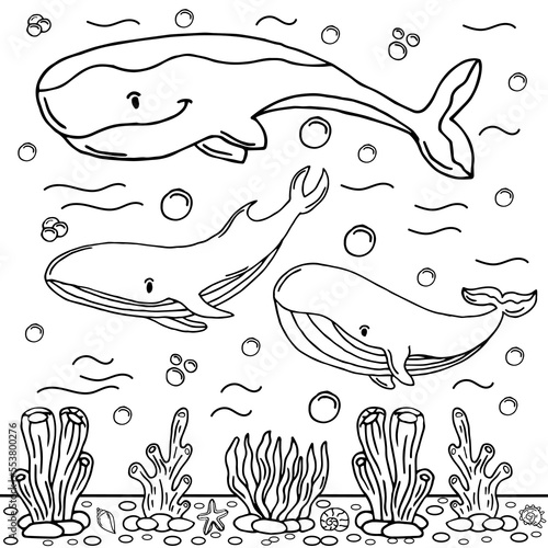 Whale Coloring Page Colored Illustration