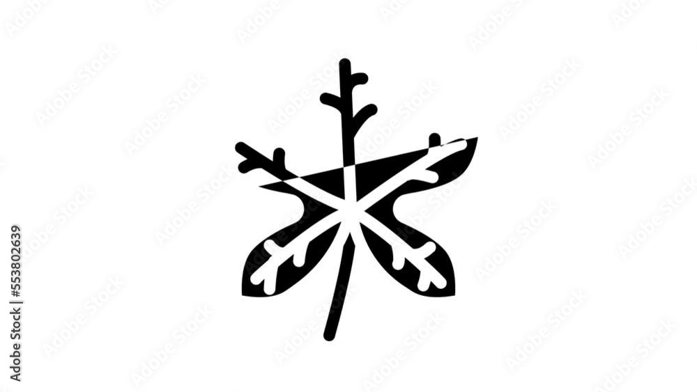 fatsia japonica tropical leaf glyph icon animation fatsia japonica tropical leaf glyph icon animation