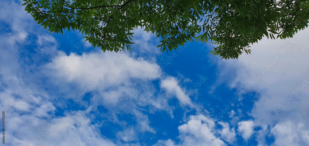 Obraz premium blue sky and clouds