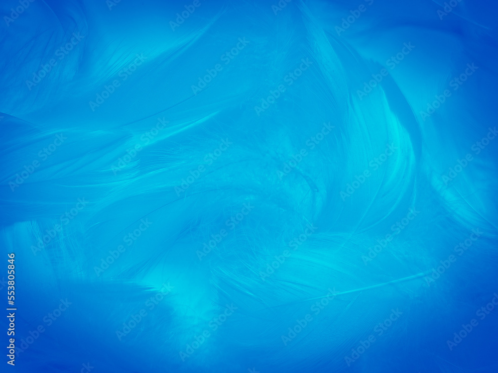 Beautiful abstract blue feathers on white background, black feather texture and blue background, feather wallpaper, blue texture banners, love theme, valentines day, light blue texture, dark gradient Beautiful abstract blue feathers on white background, black feather texture and blue background, feather wallpaper, blue texture banners, love theme, valentines day, light blue texture, dark gradient