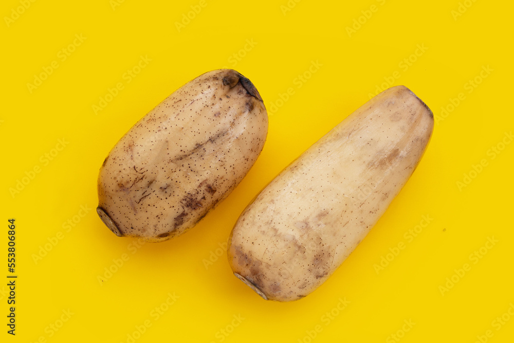 Lotus root on yellow background Lotus root on yellow background